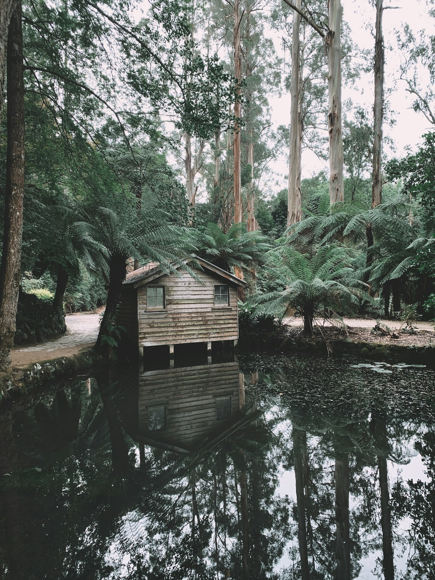 The Best Restaurants in Dandenong to Try Today